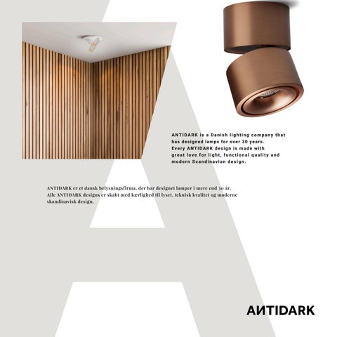 ANTIDARK WALL × 吸顶灯 FEB2024 第 3 页