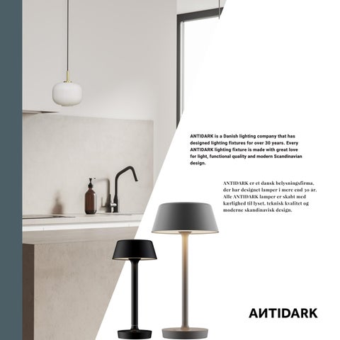 ANTIDARK 吊线灯 桌 AND FLOOR FEB2024 第 3 页