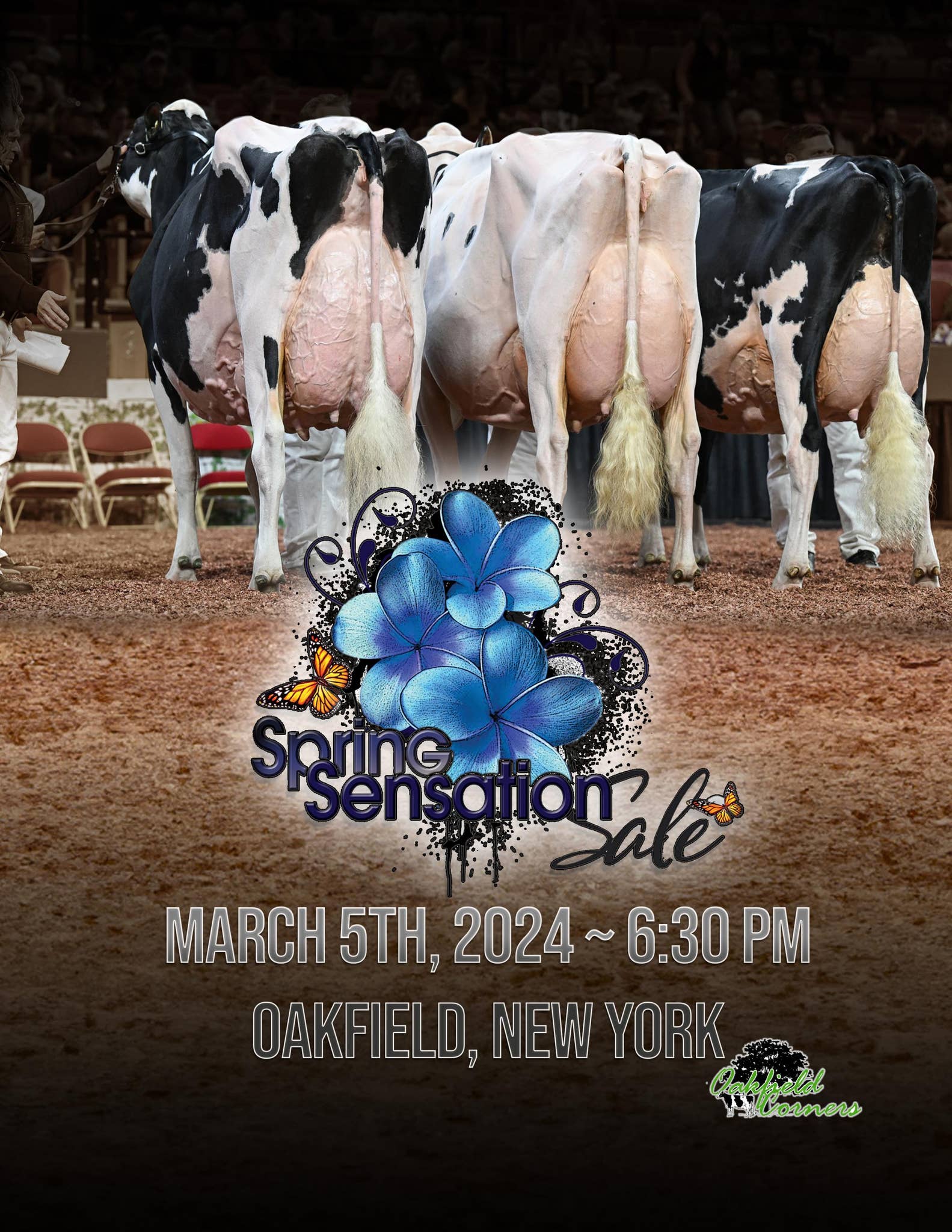 *限定*Daisy's Dream Cow 限定* Daisy's Dream Cow Daisy's Dream (medium) -Cow parade