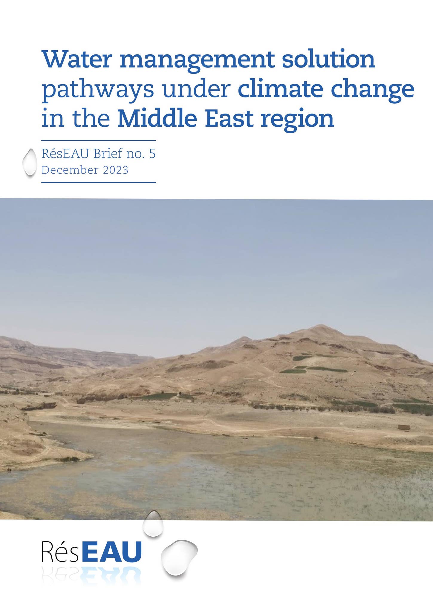 Water management solution pathways under climate change in the Middle ...