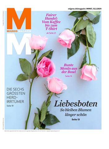 m-magazin Publisher Publications - Issuu