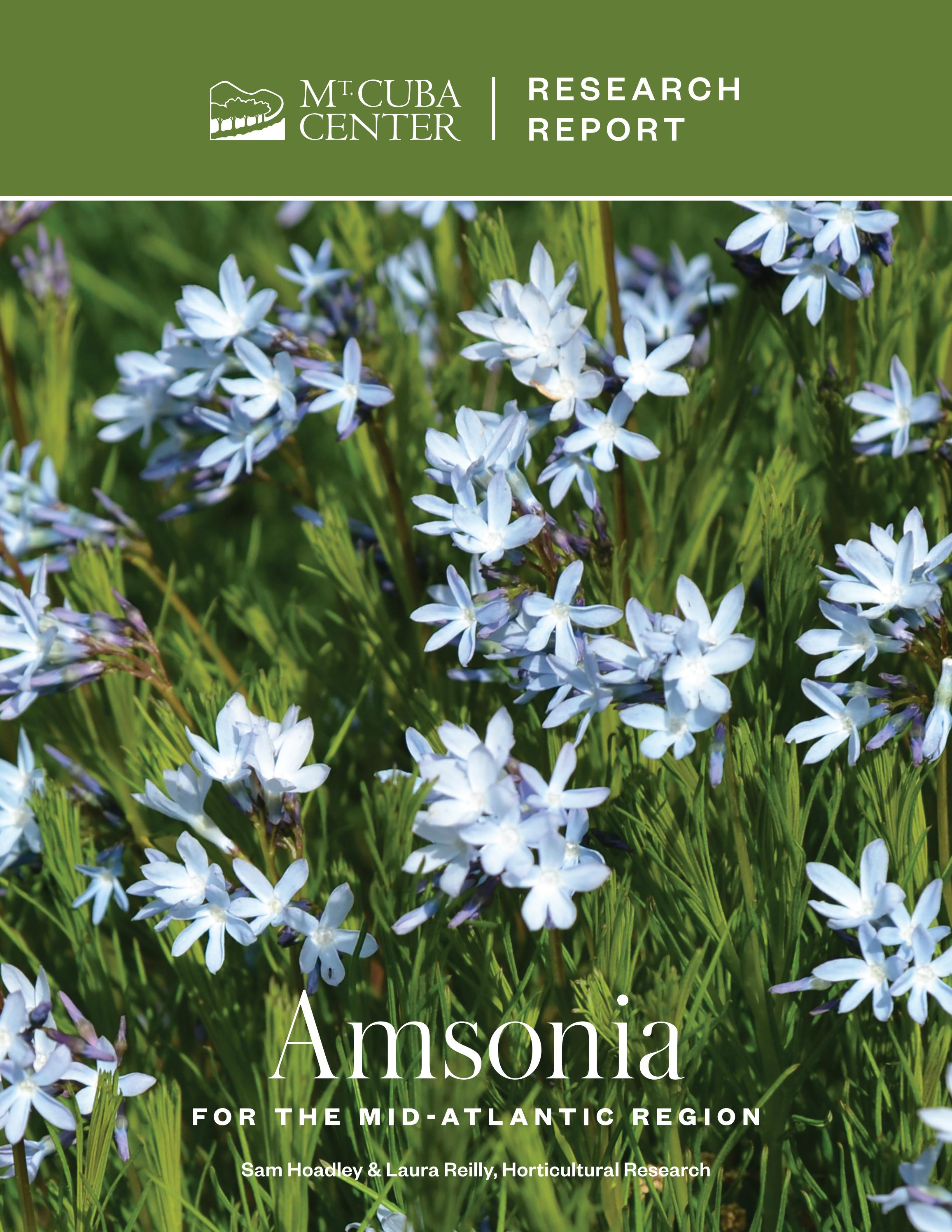 Amsonia for the Mid-Atlantic Region by Mt. Cuba Center - Issuu