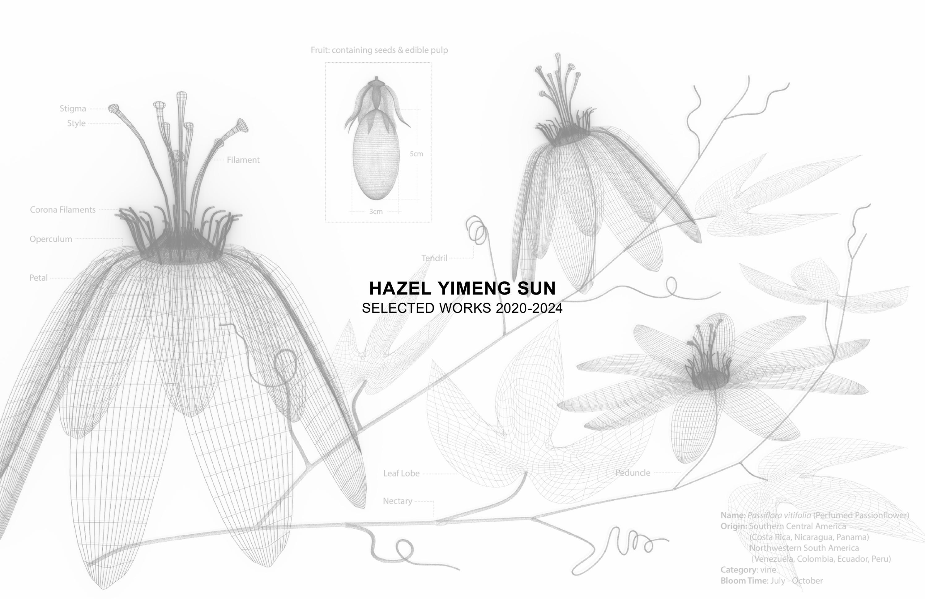 Portoflio_2024_Hazel Sun by Hazel Sun Issuu