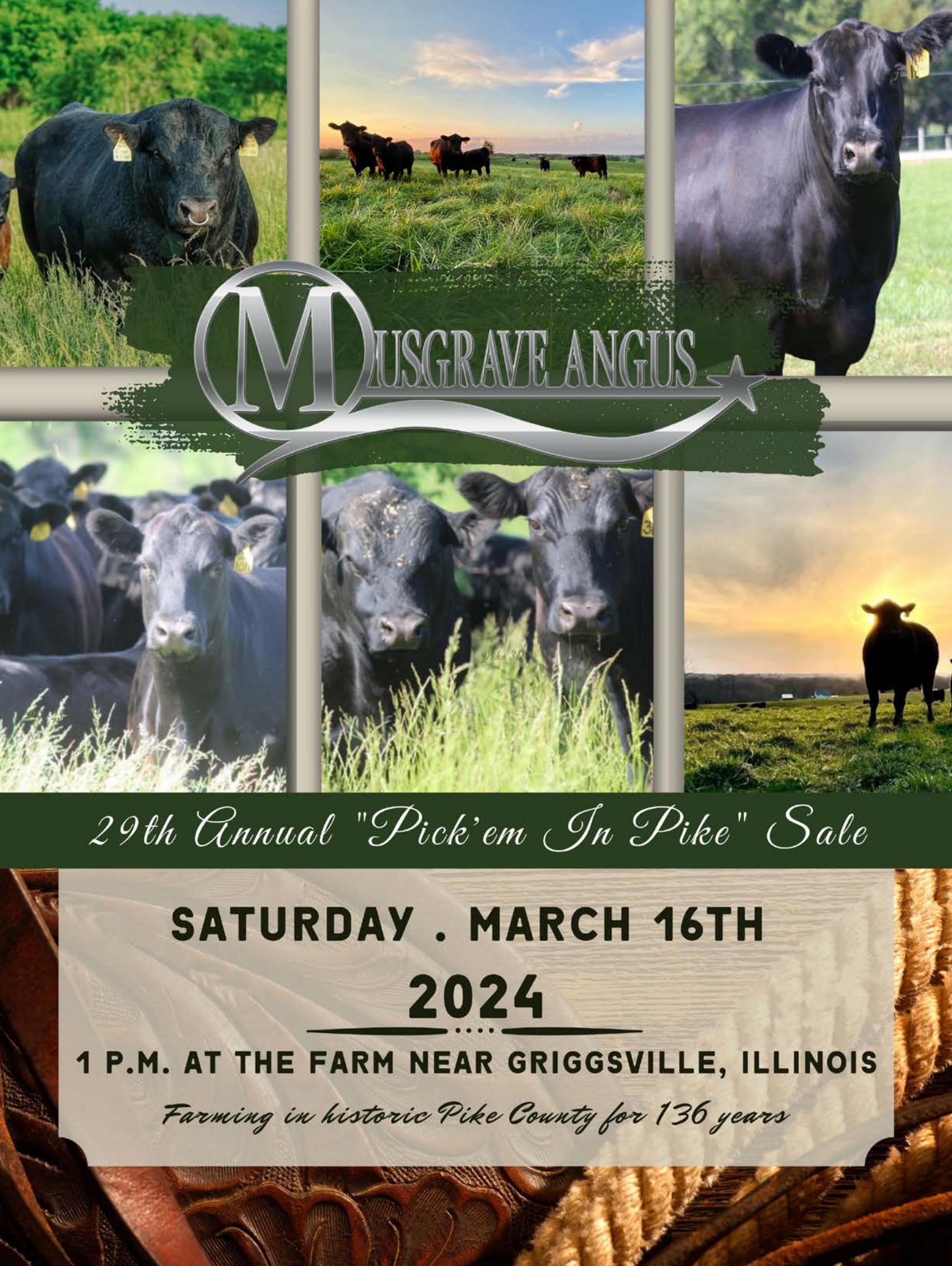 2024 Musgrave Angus Sale Catalog by Ranch House Designs Issuu