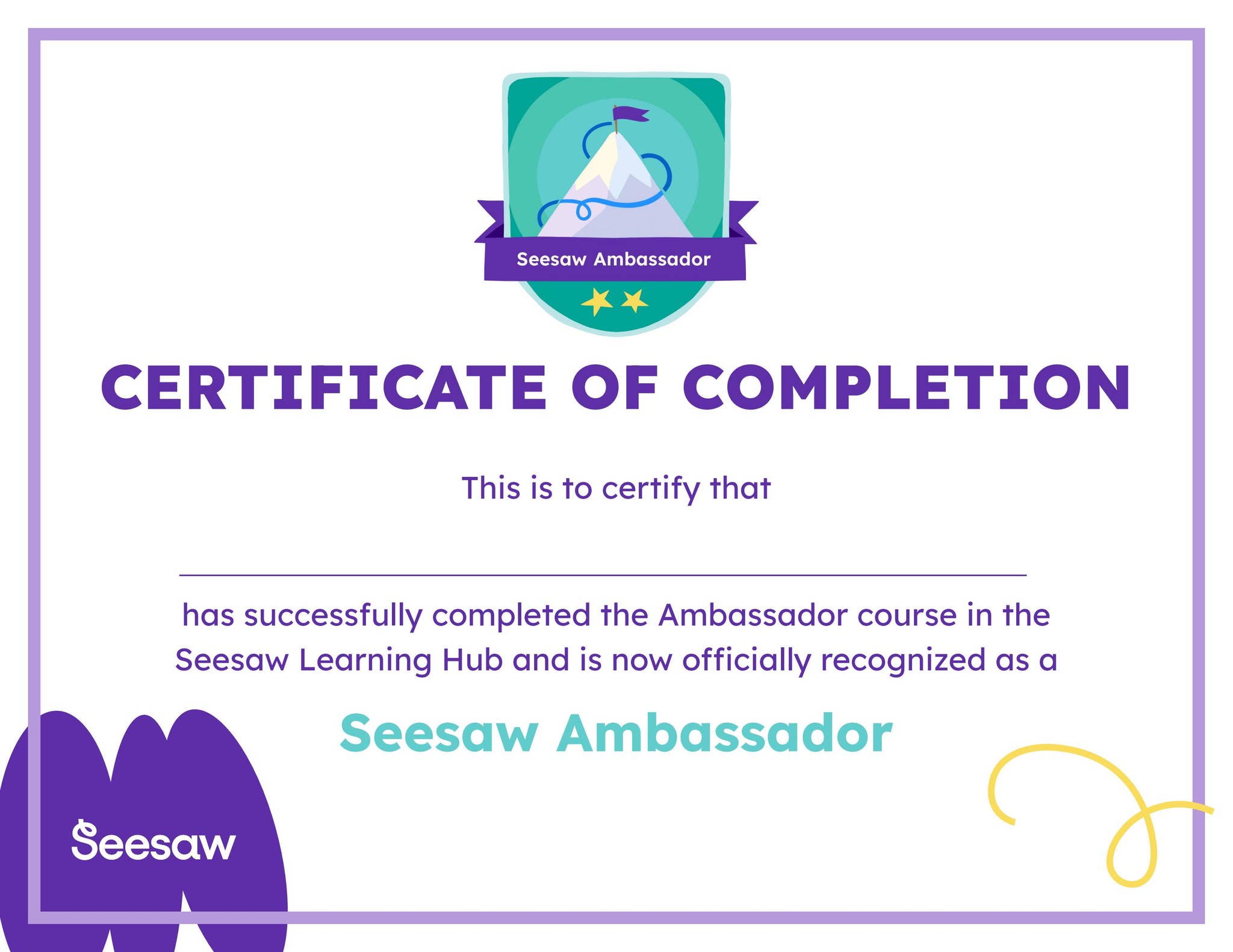 Seesaw ambassador discount