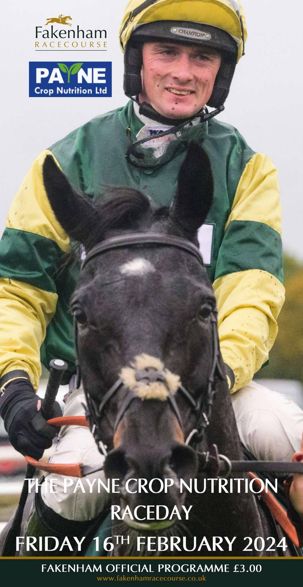 Faulkingham Races Fakenham Racecard - Friday 16th February by Weatherbys - Issuu