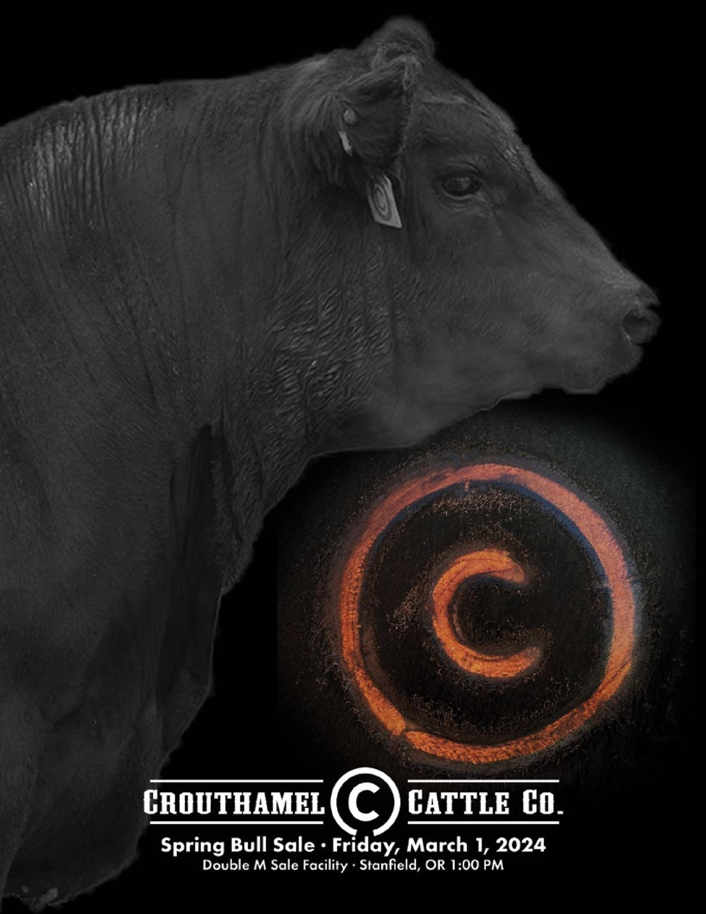 2024 Crouthamel Cattle Sale Catalog by Ranch House Designs Issuu