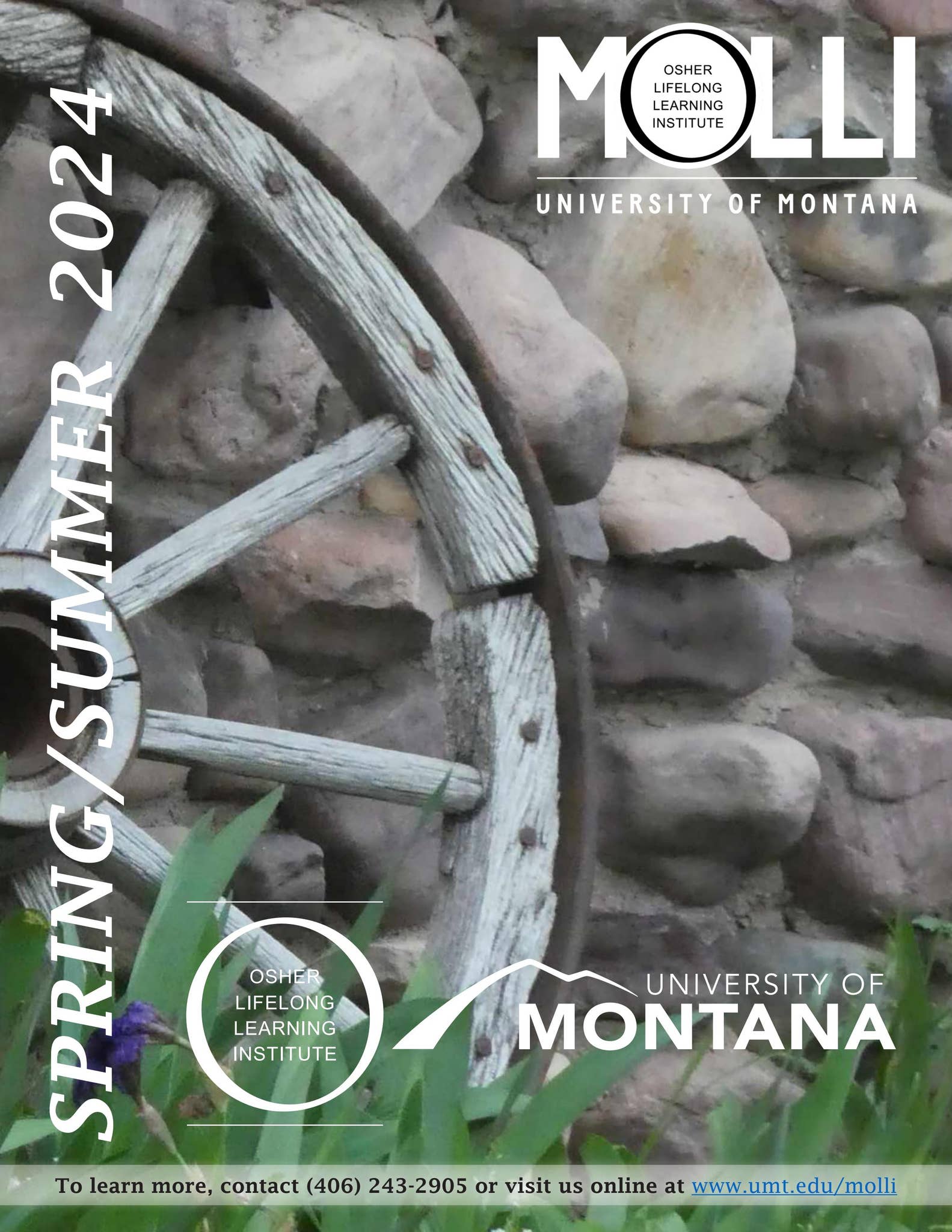 MOLLI Catalog by MOLLIatUM Issuu