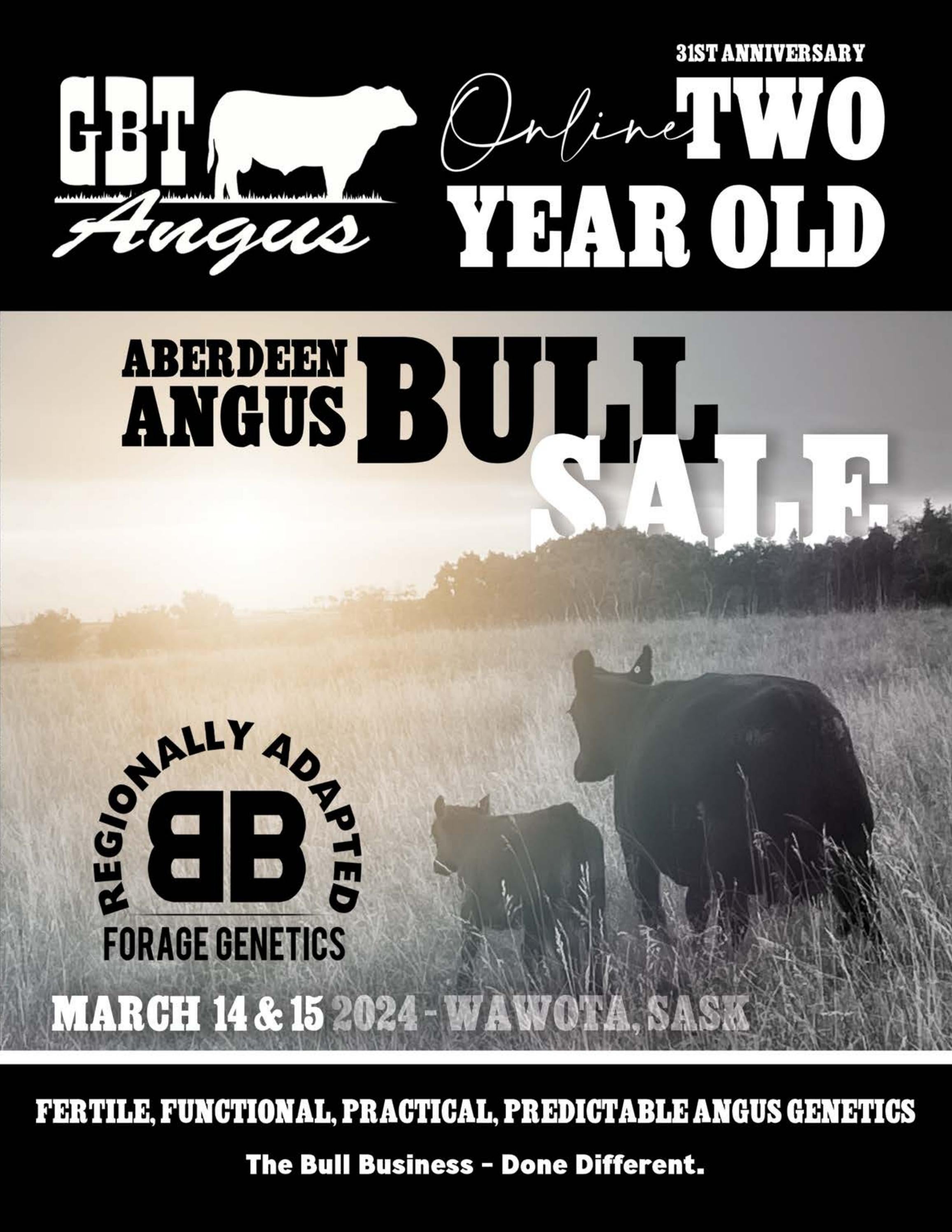 GBT Angus Bull Sale Catalog 2024 by PeltonLivestock Issuu