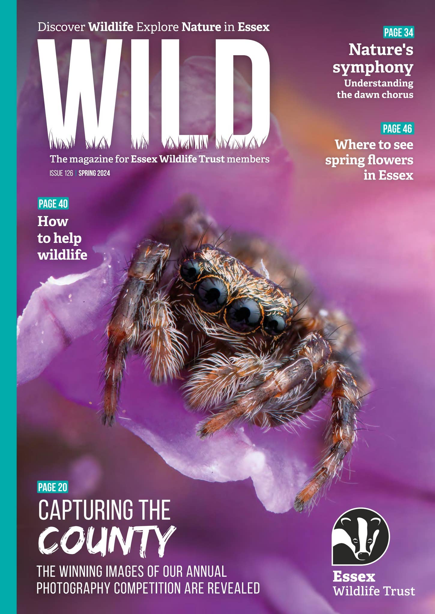 Wild Magazine Computer Science Wild Magazine Spring 2024 by essexwt - Issuu