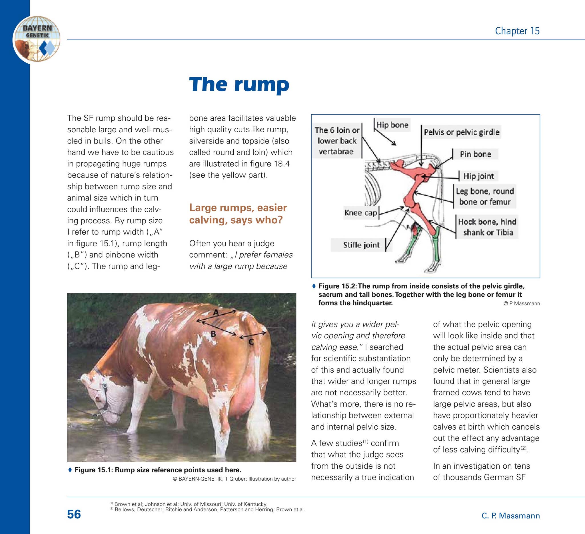 What Part Rump Comes From What Is A Rump