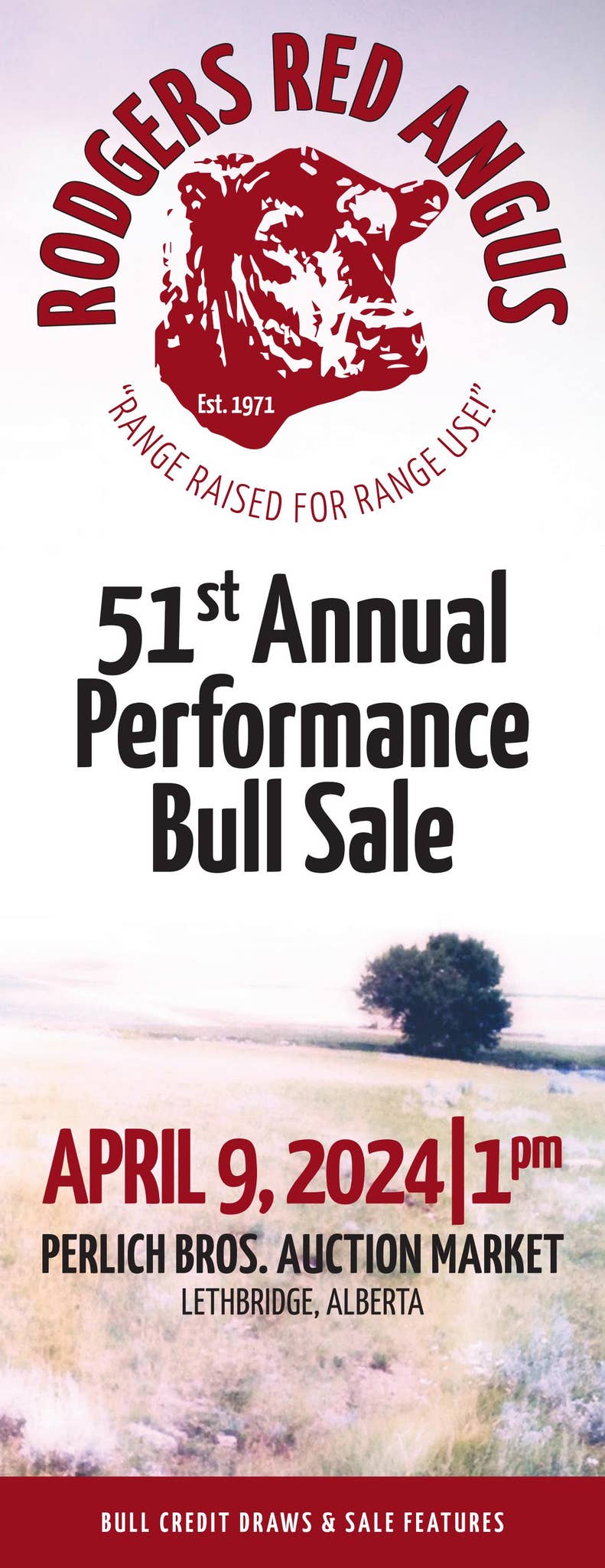 RODGERS RED ANGUS 2024 BULL SALE CATALOGUE by Logan Rummel - Issuu