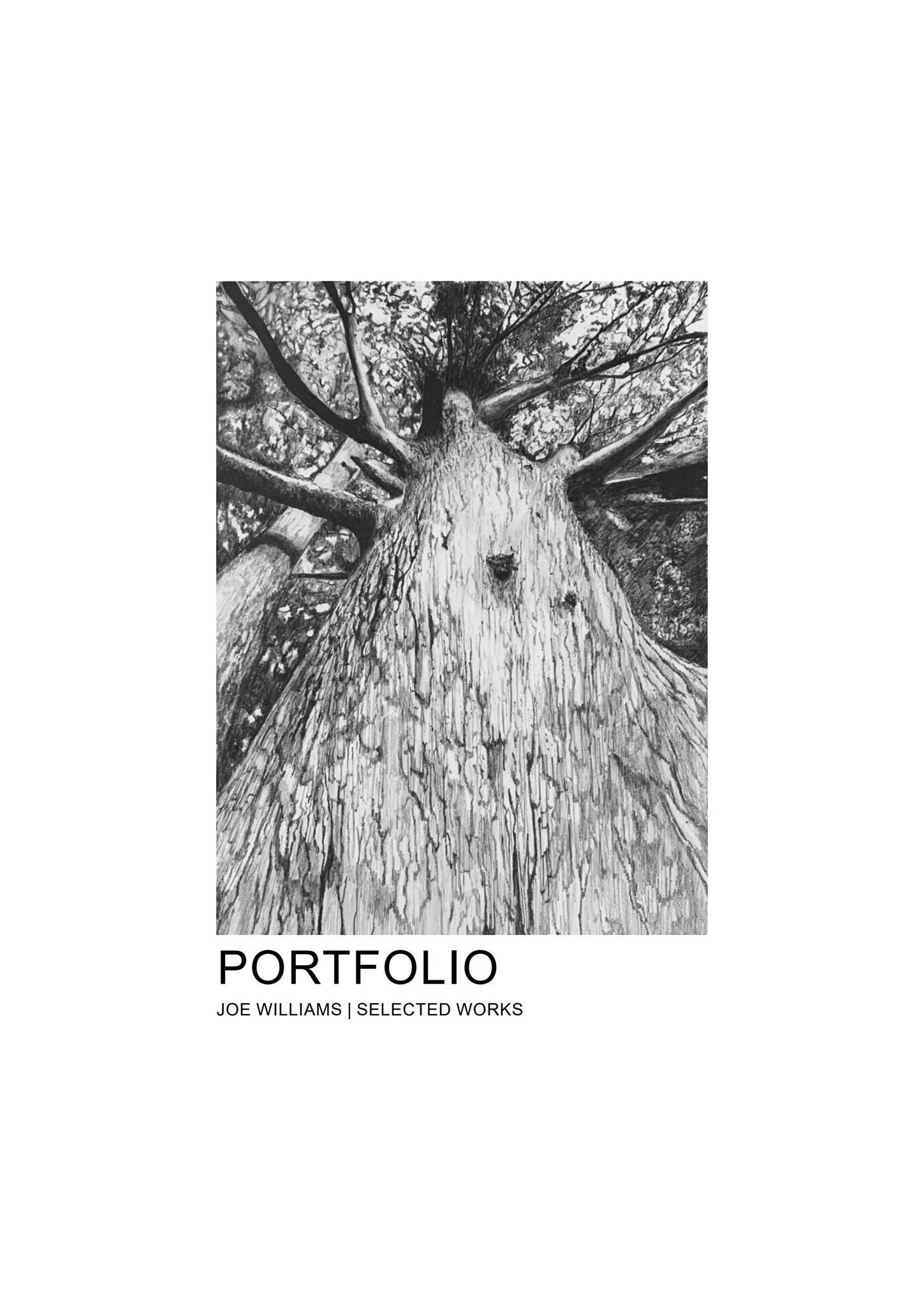 Joe Williams Portfolio 2024 by joewilliamsportfolio - Issuu