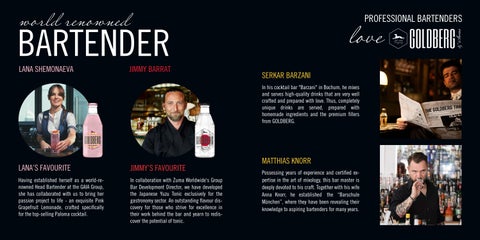 GOLDBERG Salesfolder 第 18 页