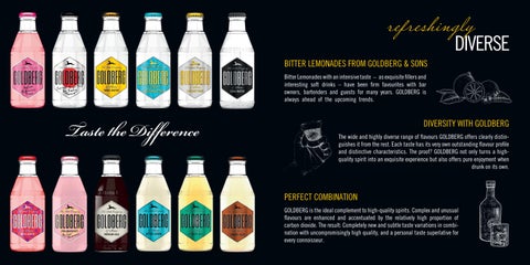 GOLDBERG Salesfolder 第 4 页