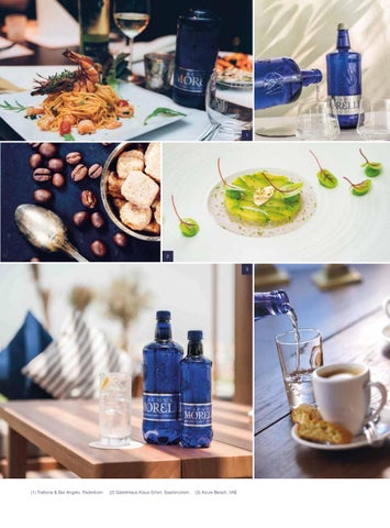ACQUA MORELLI Salesfolder 第 15 页