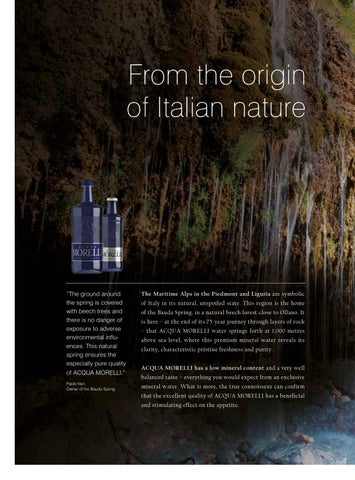 ACQUA MORELLI Salesfolder 第 4 页