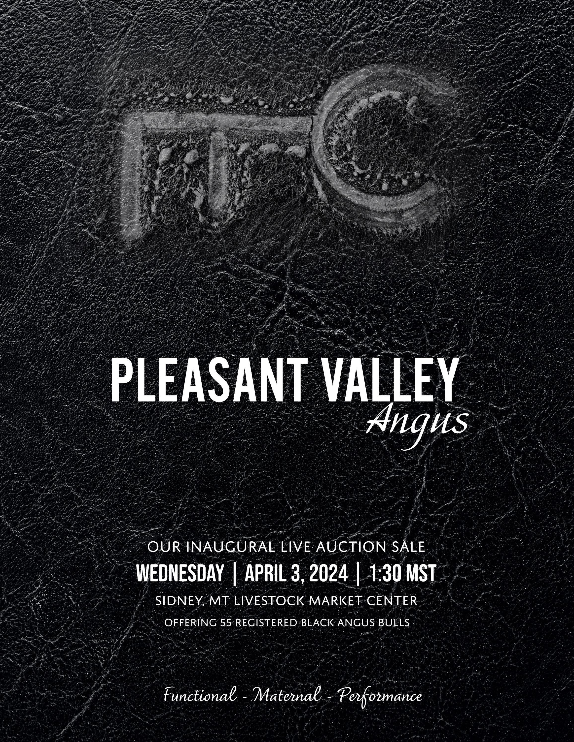 Pleasant Valley Angus Bull Sale 2024 by HorizonMarketingAgency Issuu