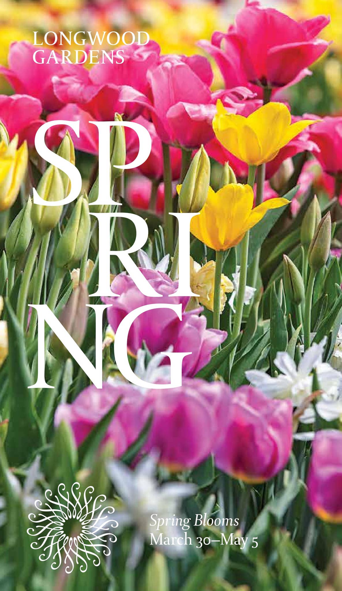 Seasonal Highlights: Spring 2024 by Longwood Gardens - Issuu