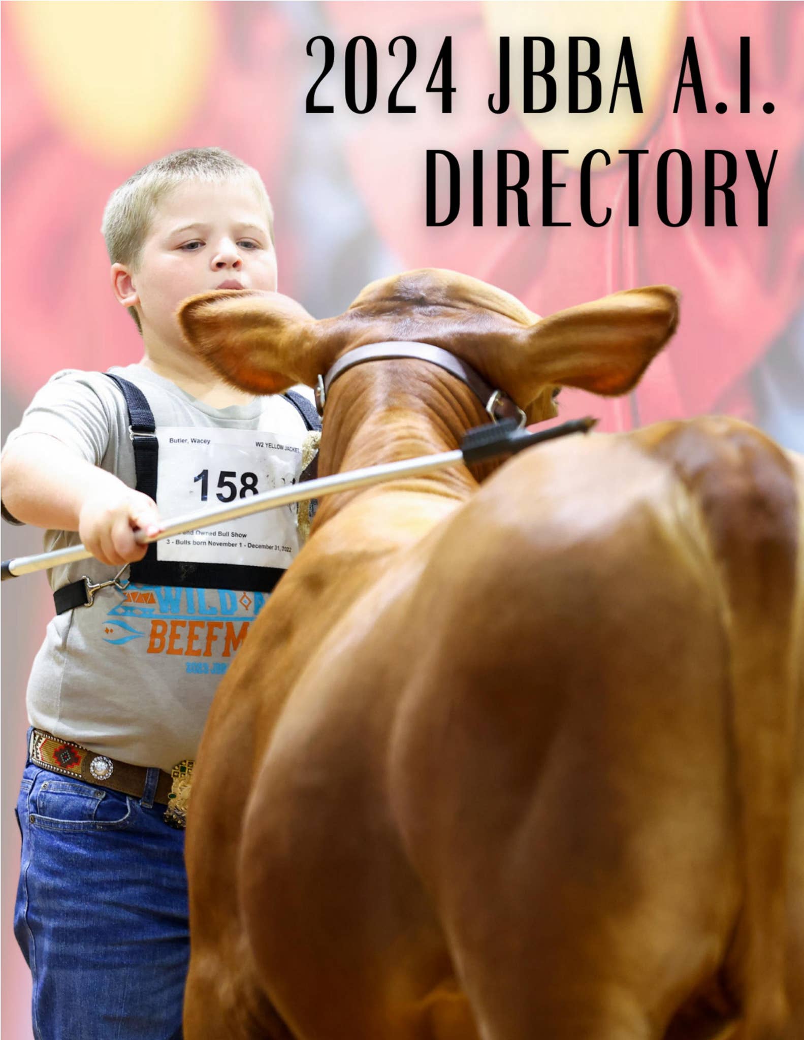 2024 JBBA A.I. Directory by EDJE - Issuu