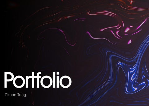 Zixuan Tang Portfolio