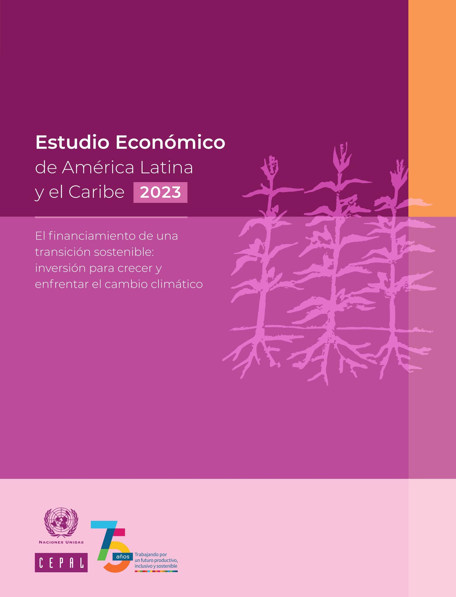 Estudio Económico de América Latina y el Caribe 2023. El financiamiento de  una transición sostenible by Publicaciones de la CEPAL, Naciones Unidas -  Issuu