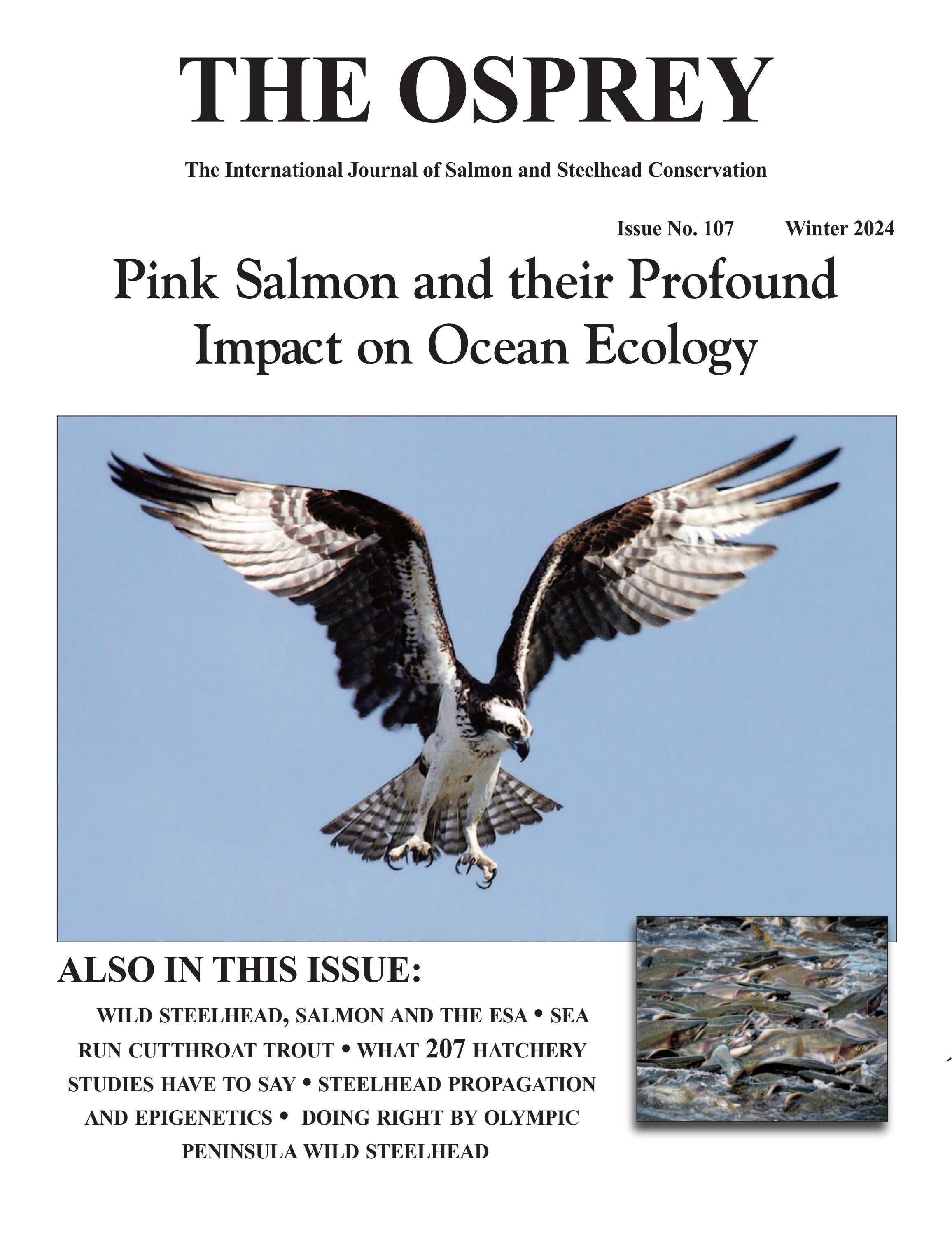 The Osprey Winter 2024 By The Osprey Journal Issuu Page 1