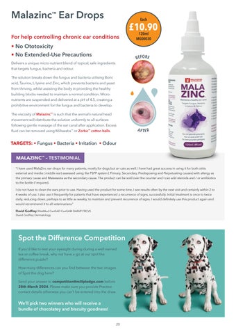 Millpledge Veterinary Companion Q1 2024 第 20 页