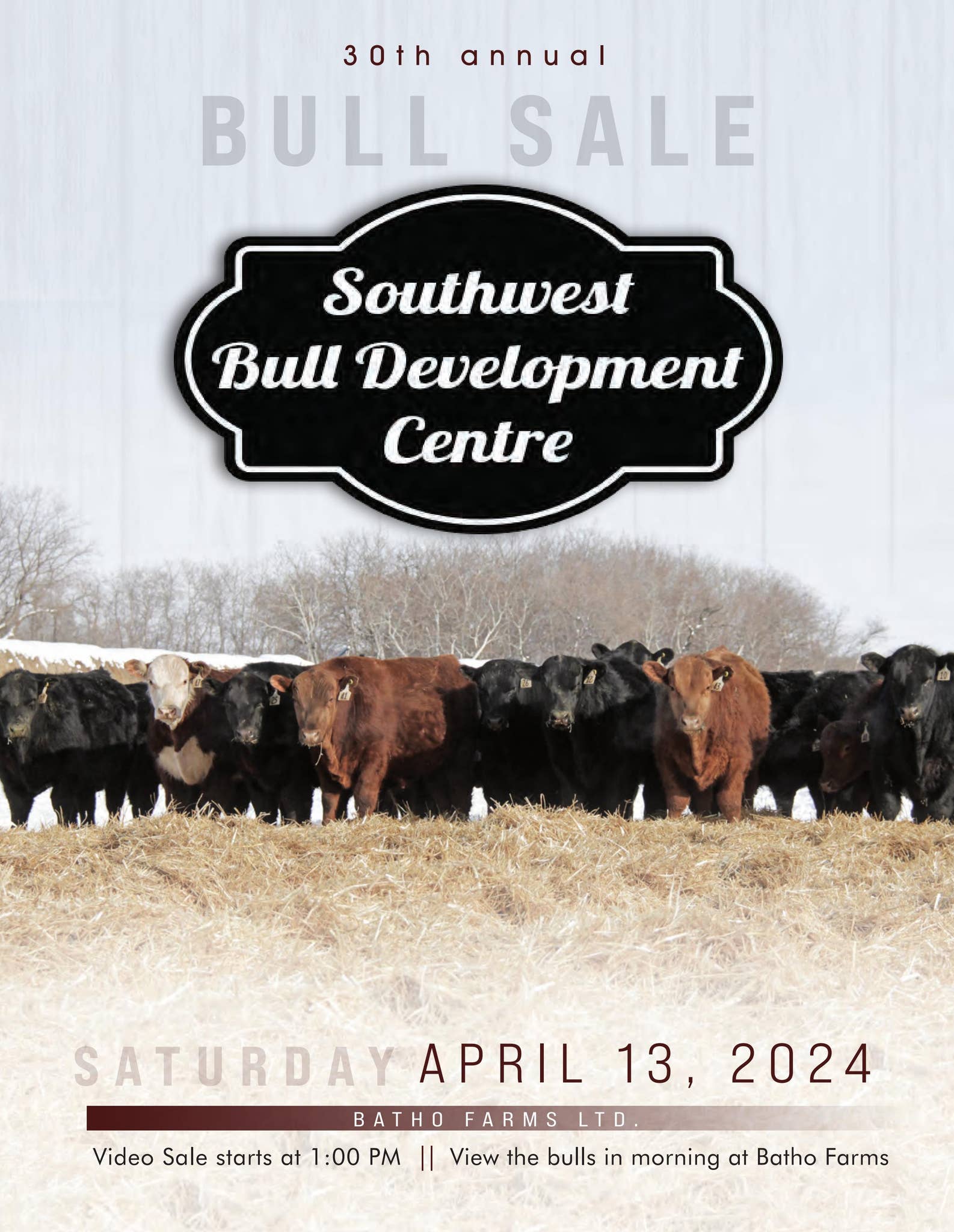 Southwest Bull Development Centre 30th Annual Bull Sale by Today's ...