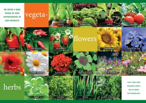 COR Catalogus 2019 Promo 第 6 页