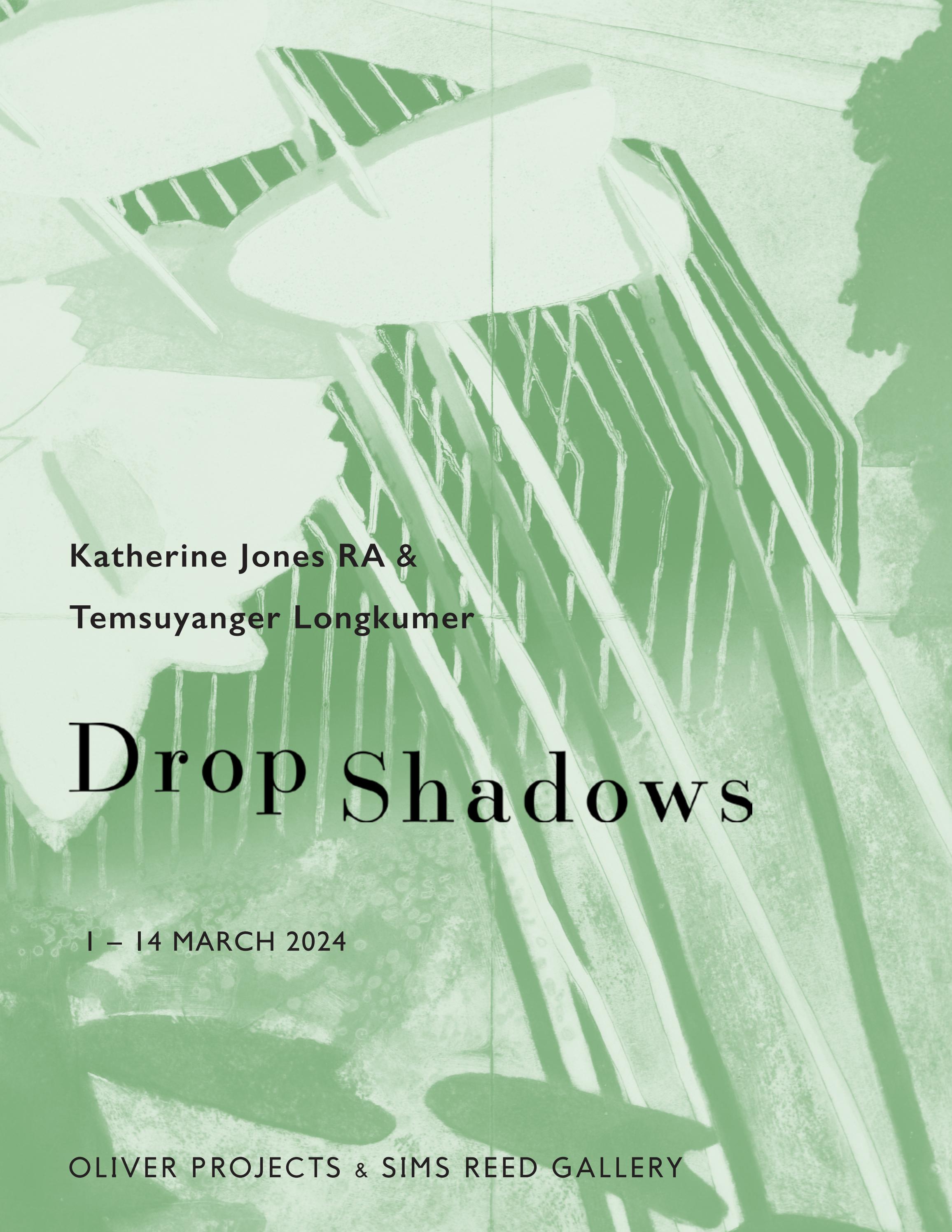 Drop Shadows Exhibition Catalogue Katherine Jones RA and Temsuyanger