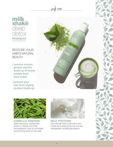 milk shake® pro 简介 deals 2024 第 13 页
