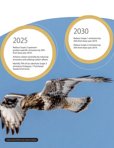 Copernicus Educational Products Impact Report 2023 第 5 页