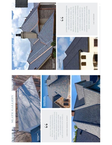 DaVinci Simulated Slate 第 10 页