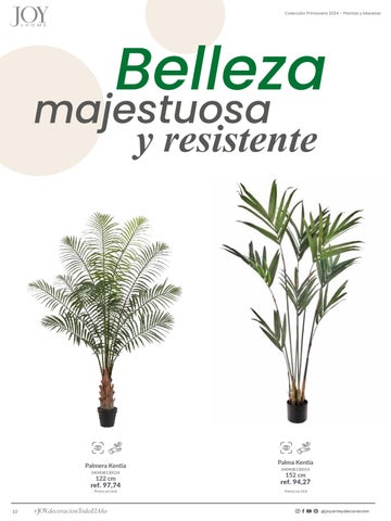 家具目录 Plantas × Macetas 2024 第 10 页