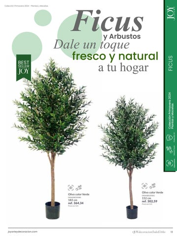 家具目录 Plantas × Macetas 2024 第 13 页