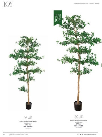 家具目录 Plantas × Macetas 2024 第 18 页