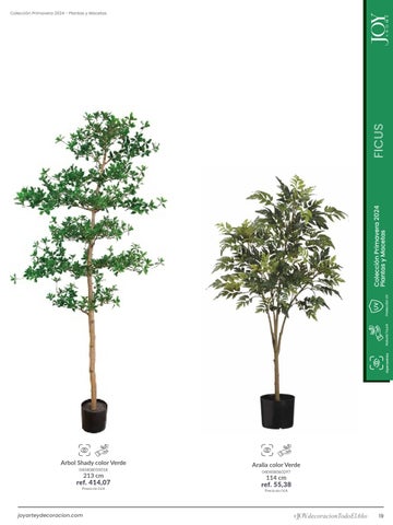 家具目录 Plantas × Macetas 2024 第 19 页