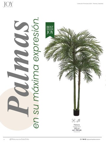 家具目录 Plantas × Macetas 2024 第 6 页