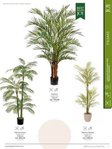 家具目录 Plantas × Macetas 2024 第 7 页