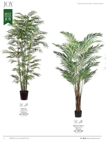 家具目录 Plantas × Macetas 2024 第 8 页
