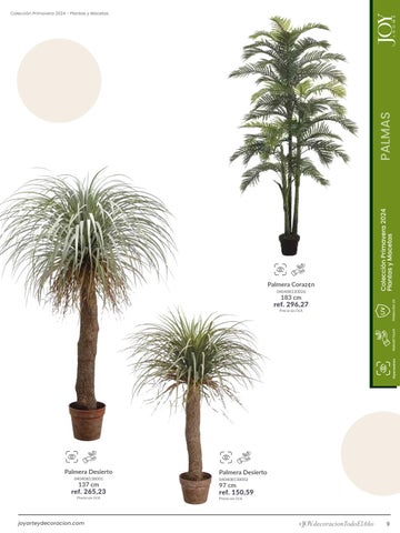 家具目录 Plantas × Macetas 2024 第 9 页