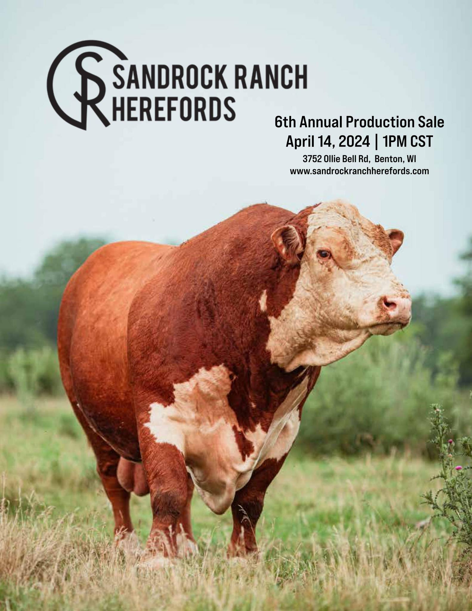 SandRock Ranch 6th Annual Production Sale Catalog by sandrockranch - Issuu