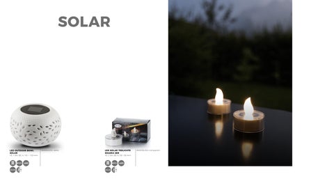 balthasar I 夏季 24 - Kerzen und Accessoires 第 24 页