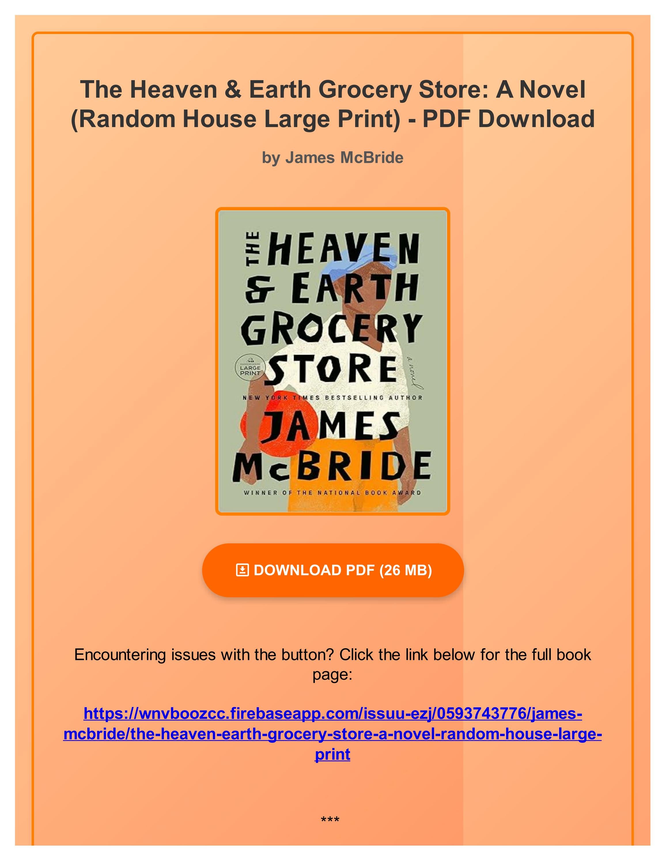 The Truth Behind Heaven & Earth Grocery Store'S Mysterious Ending - jbv865c