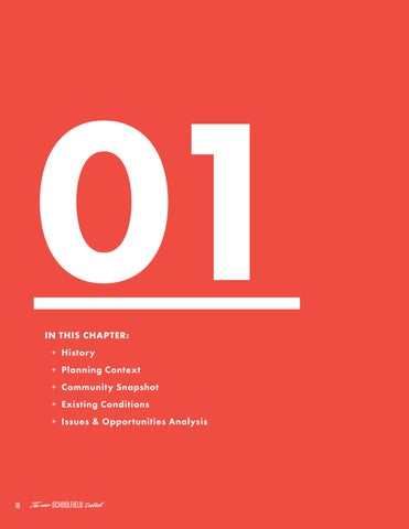 The New Schoolfield District Plan 第 18 页