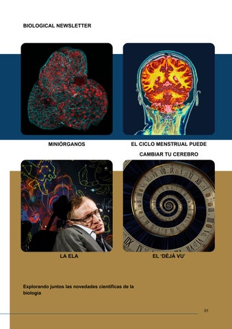 BIOLOGICAL NEWSLETTER DE MARINA