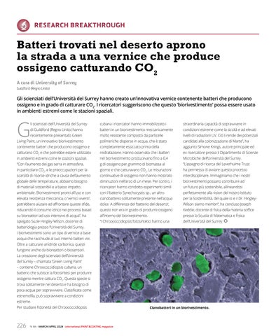 Page 236
