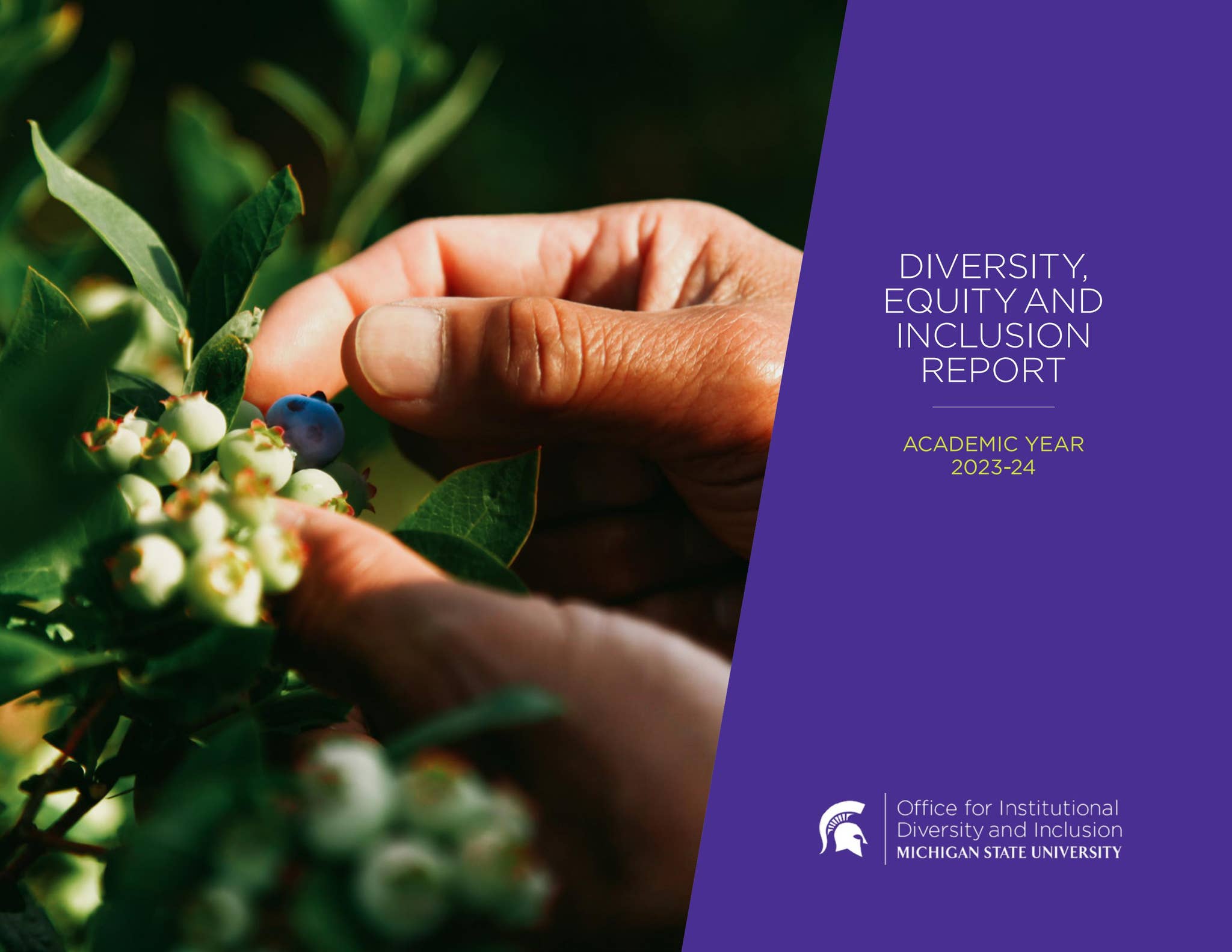 2023-24 Diversity, Equity and Inclusion Report by inclusion.msu.edu - Issuu