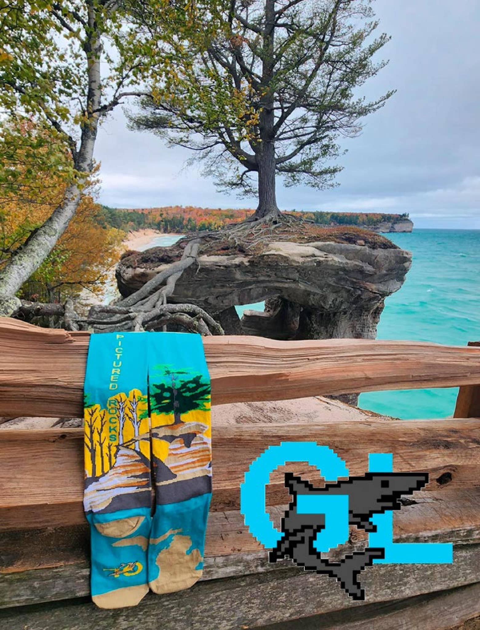 GL Shark Catalog March 2024 by Cheryl Fletcher Issuu